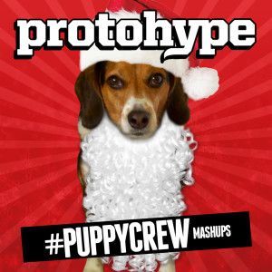 Protohype - #Puppycrew Mashups_nrfmagazine