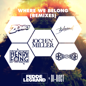 Fedde Le Grand & DI-RECT - Where We Belong EP Remixes_NRFmagazine