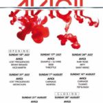 Avicii desvela el lineup de su última residencia en Ushuaïa Ibiza