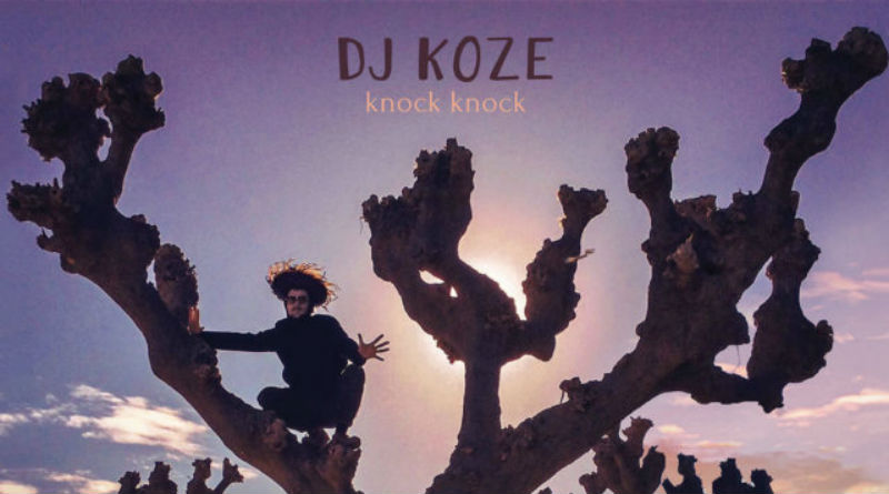 Dj Koze Knock-Knock_nrfmagazine