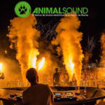 7 nuevas confirmaciones para el V Aniversario de Animal Sound Festival